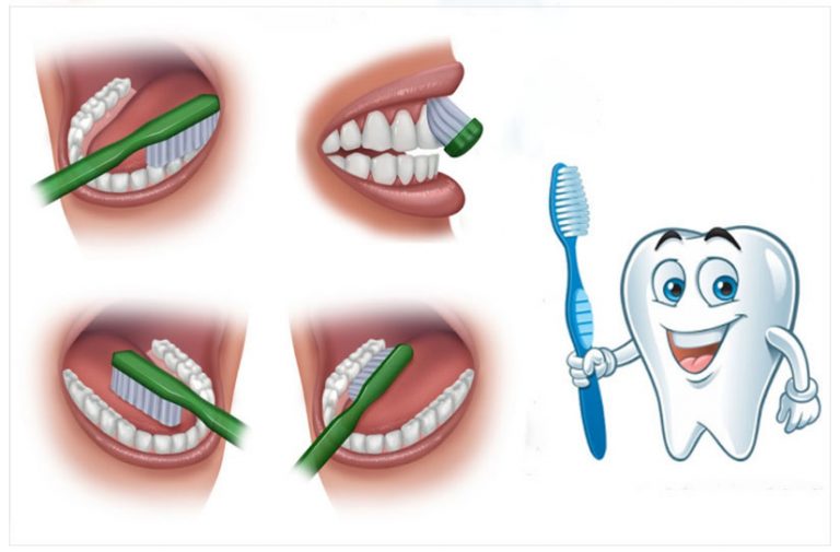 Veja como escovar os dentes corretamente Veja como escovar os dentes corretamente
